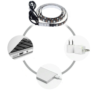 Mini contrôleur USB bricolage 5V LED Kit de bande lumineuse TV avec 1M 2M 3M 5050 IP65 blanc noir PCB App Mode de contrôle 30Led rétro-éclairage