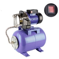RUIQI JETST100 Station de pompage automatique électrique 800W/1100W Booster d'eau de surface haute pression 1hp Pompes en acier inoxydable certifiées CE