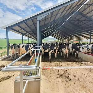 โครงสร้างอาคารสำเร็จรูปสำหรับการก่อสร้างโรงงานพร้อมฉนวนกันความร้อนแบบทันสมัยติดตั้งง่าย - Product Image 2