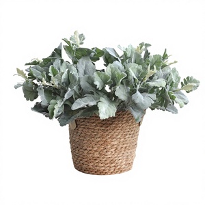 Feuillage Artificiel Effet Givre (Feuilles de Wattle Argentées Floquées) 33CM Moderne pour Arrangements Floraux Rustiques Décoration Intérieure - Product Image 2