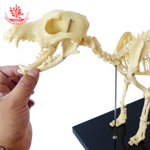 PVC - Product Image 4