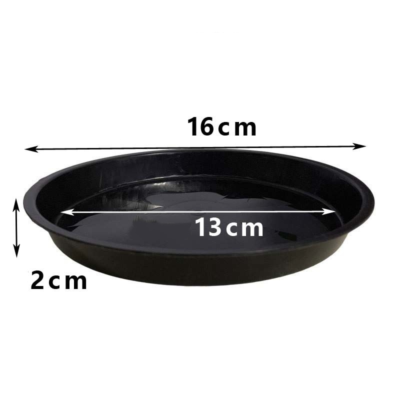 16*13cm
