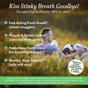 Polvo Dental Natural recomendado por veterinarios para perros, gatos, cuidado bucal, suplemento <span class=keywords><strong>de</strong></span> limpieza <span class=keywords><strong>de</strong></span> dientes, eliminación <span class=keywords><strong>de</strong></span> sarro, placa ambientadora - Product Image 2