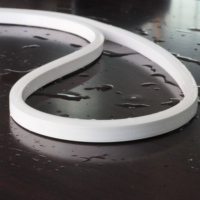 Luz de neón LED IP67 flexible de tamaño 1015 para cocina de hotel iluminación decorativa al aire libre