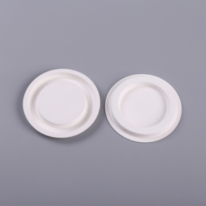 Heavy-Duty dùng một lần giấy tấm phân hủy sinh học mía bã mía tấm thân thiện với môi tự nhiên giấy bột giấy - Product Image 2