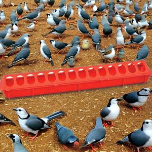 Nouvelle mangeoire et <span class=keywords><strong>abreuvoir</strong></span> en plastique pour volailles de ferme, pigeons, perroquets, cailles, canards, <span class=keywords><strong>oiseaux</strong></span>, poulets, boîte à nourriture suspendue - Product Image 2