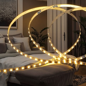 Home Indoor Decoration 5m 10m <b>SMD</b> 2835 <b>LED</b> Stripe Lights Smart Wholesale Warm Cold White <b>Led</b> Strip Lighting - Product Image 1