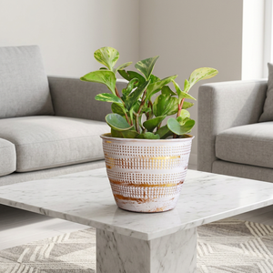 AK laiton blanc rustique or métal doré petite mini jardinière de table pour la décoration intérieure fenêtre bureau salon ameublement - Product Image 3