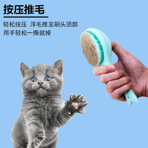Pet <b>spray</b> massage comb, steam comb, cat hair remover, cat and dog hair remover, no-bath cat comb - Product Image 5