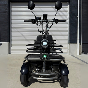 Véhicules utilitaires pratiques à capacité de charge exceptionnelle, voiture électrique pour adultes, mini-véhicule à prix abordable à vendre - Product Image 1