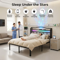 Professionelles Top-Bewertetes Doppelbett mit Eisenrahmen USB Typ C Anpassbares LED-Kopfteil Ladestation Geräuschlos Hochbelastbar