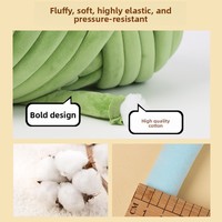 Pelote de fil Super Volumineuse 2 cm en Polyester/Acrylique Teint Doux pour Tricot DIY, Matériel pour Coussin, Sac à Main, Décoration Intérieure
