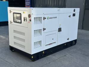 Gruppo Elettrogeno Diesel Silenzioso da 50 kVA, Generatore di Energia Elettrica Insonorizzato da 50 kVA, Generatore Elettrico a Magneti Permanenti da 40 kW - Product Image 6