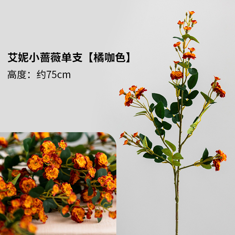 Petite rose orange