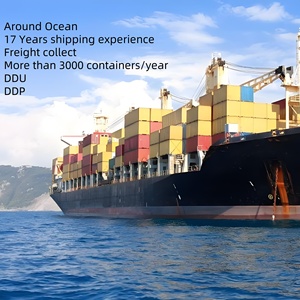 El mejor agente de logística de envío FCL rentable de China a Brasil Servicio de calidad garantizado-Opciones DDP/DDU disponibles - Product Image 4