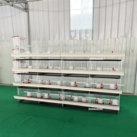 Cage à poussins et poulets de chair à petit prix avec système d'abreuvement automatique à vendre