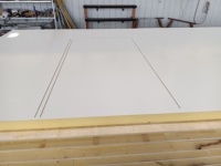Panneau thermoplastique léger et panneau composite extrudé pour la décoration intérieure et les cloisons