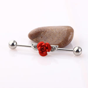Bon marché Prix 5mm Boules Extrémités Rouge Rose <span class=keywords><strong>Sur</strong></span> Acier Chirurgical 316L Industrial Barbells Boucles D'oreilles 2023 - Product Image 4