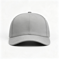Casquette de baseball sportive pour homme, haute qualité, imperméable, gris clair, 6 panneaux, visière incurvée, perforations découpées au laser, respirante
