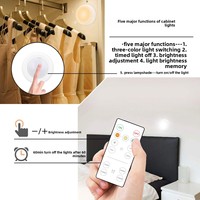 Lumière LED pour armoire à 3 couleurs, à intensité variable, avec télécommande, design minimaliste moderne, garantie de 2 ans, matériau PC pour éclairage de cuisine et de placard