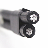 Cable de Aluminio Trenzado para Servicio Aéreo con Aislamiento XLPE 2*10mm ABC 500m