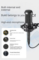Microphone à condensateur Iron Triangle AT2035, carte son live, équipement d'enregistrement audio professionnel, chant, Chine