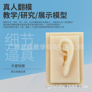 Oído realista a escala 1:1, modelo de oído humano, tipo de trompa de oído, oído de silicona para acupuntura (oreja derecha) - Product Image 4