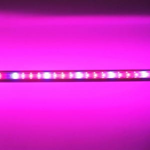 Planta hidropónica Greenpower, barra lineal roja y azul, 3,3 umol/j, Interlighting, 100W, luz LED inter para cultivo de frutas y flores - Product Image 2