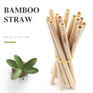 Tre uống ống hút cấp thực phẩm được phê duyệt tái sử dụng rơm bàn chải thanh phụ kiện biểu tượng tùy chỉnh sinh học-phân hủy rơm - Product Image 1