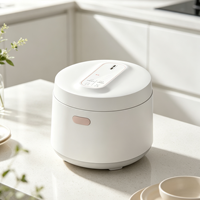 Cuisinière à riz de haute qualité, multicuiseur, 2L, mini-cuisinières à riz électriques pour un usage domestique