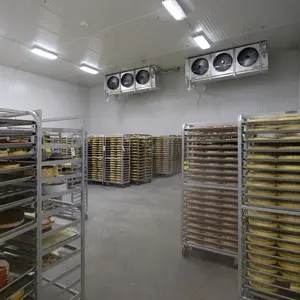 industrial cold room for fruit and vegetable storage freezer