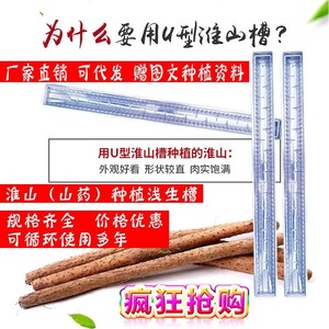 <b>Plastic</b> Yam <b>Planting</b> <b>Trough</b> U Shaped Shallow Cultivation Tube 80cm 100cm 120cm Crystal Clear Guiding Growth Direction - Product Image 5