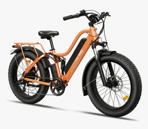 Bicicletta Elettrica da Città a Sospensione Completa, Nuova, Prezzo di Fabbrica, E-bike da Neve, Batteria al Litio 48V 21Ah, 750W, Pneumatici Fat da 26 Pollici - Product Image 3