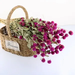 Ramo de Flores Secas Naturales al Por Mayor, Gomphrena, Plantas Secas, Flores Preservadas - Product Image 3