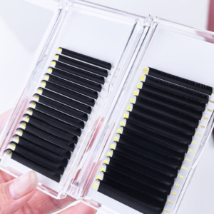 Pestañas Artstar de 8-15 mm, Volumen Completo, Pelo Sintético PBT, Extensiones de Pestañas Hechas a Mano con Curvatura DD, Bandeja, Logotipo y Empaque Personalizados - Product Image 1