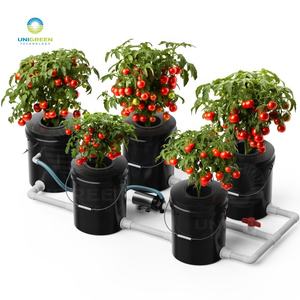 DWC-systeem 16L Nieuw Ontwerp RDWC Hydroponisch Kweeksysteem Kits Diepwater Systeem 4,22 Gallon 5 Emmers Recirculerend Hydro. DWC - Product Image 1