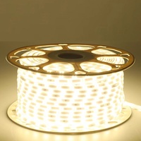 L'éclairage de bande flexible blanc chaud blanc bleu violet a mené des lumières de bande de LED de double rangée/bande lumineuse menée