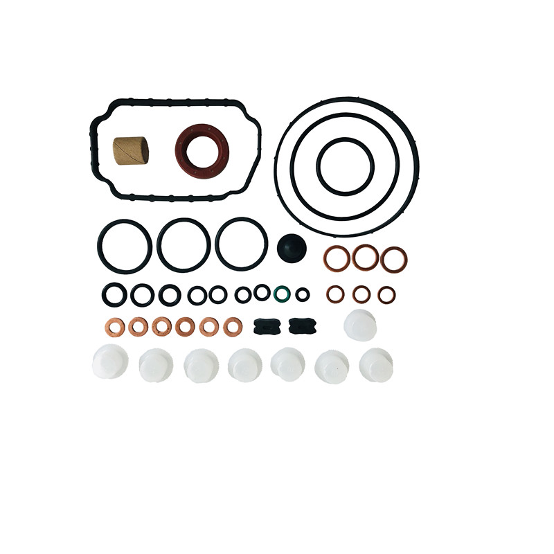 Wholesale Diesel Fuel Injection Pump Repair Kit 1467010520 (800735) 1 467 010 520 With High Quality
