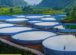 Màu Xanh 1mm LDPE HDPE EVA dệt PVC cá Pond Tank lót chống thấm nước chống UV cá trang trại và dam lót với HDPE <span class=keywords><strong>geomembrane</strong></span> - Product Image 6