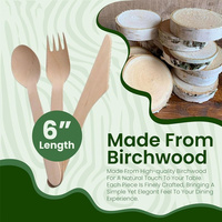 Mini Cuchara Desechable de Madera de Abedul, Ecológica y Biodegradable, para Restaurantes, Catering, Bodas, Fiestas, Utensilio para Sopa Caliente