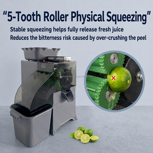 Estrattore di Succo Elettrico Commerciale per <span class=keywords><strong>Calamansi</strong></span> e Limone, Macchina per Spremitura a Freddo per Ristoranti e Juice Bar - Product Image 2