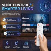 H96Max 3518B RK3518 2GB 16GB TV Box con Control Remoto por Voz, Wifi 6 2.4G/5G, BT5.4, Smart Set Top Box 4K Android 14, Reproductor Multimedia