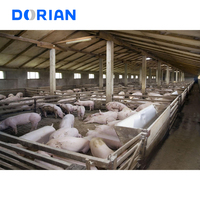 Planificación y Diseño de Cobertizos para Granjas Avícolas y Porcinas con Estructura de Acero Prefabricada y Alimentación Automática