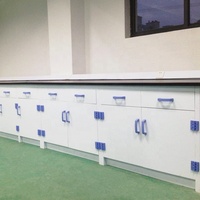 Banc mural de laboratoire PP de haute qualité Table de laboratoire en polypropylène blanc Forte résistance aux acides et aux alcalis