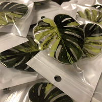 Prise de téléphone en acrylique populaire réglable, support pour téléphone portable pliable, à éjet, Design feuille de plante, personnalisée