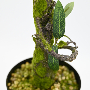 Commercio all'ingrosso 90cm lungo stelo foglie Withe Olive frutta artificiale rami <span class=keywords><strong>di</strong></span> ulivo foglie <span class=keywords><strong>di</strong></span> piante per la vendita <span class=keywords><strong>di</strong></span> vasi - Product Image 3