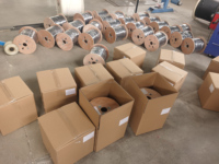 Kabel Serat Optik 	 Kabel Drop FTTH G652d Kabel Drop FTTH Serat Optik 2 Inti Gulungan 1km 2km