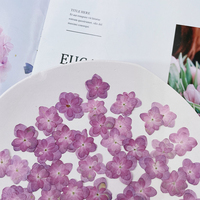 Segnalibro con Fiori Essiccati di Ortensia Doppia in Rilievo, Decorazione per il Viso con Fiori Essiccati, Herbarium