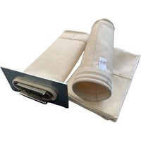 Sac filtrant en polyester sur mesure, manchon filtrant en PE, chaussette filtrante pour collecteur de poussière MRO EPC
