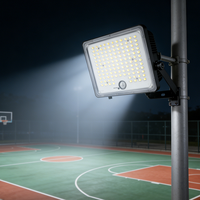 Projecteur LED IP65 en PC/ABS à CRI élevé pour enseignes publicitaires et façades de bâtiments